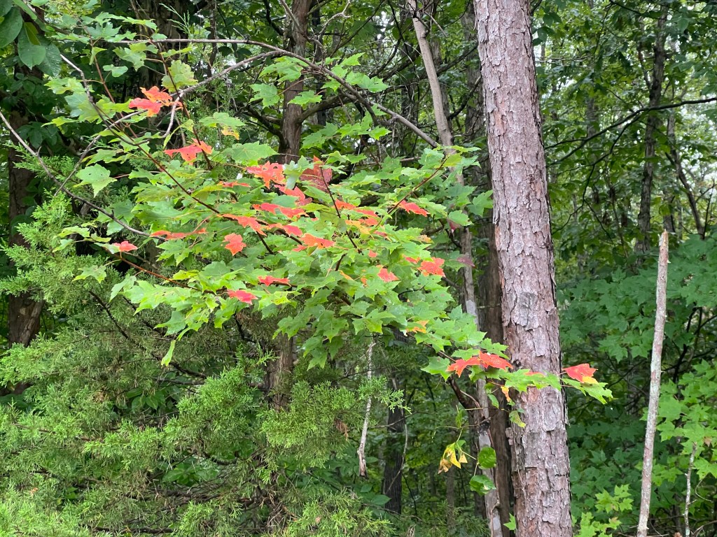 Exploring (September 19 – 25,&nbsp;2022)