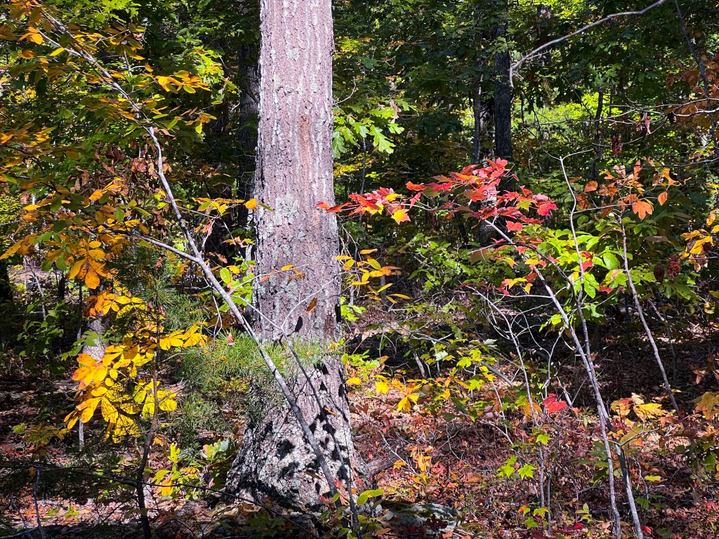 Entrenched in October…