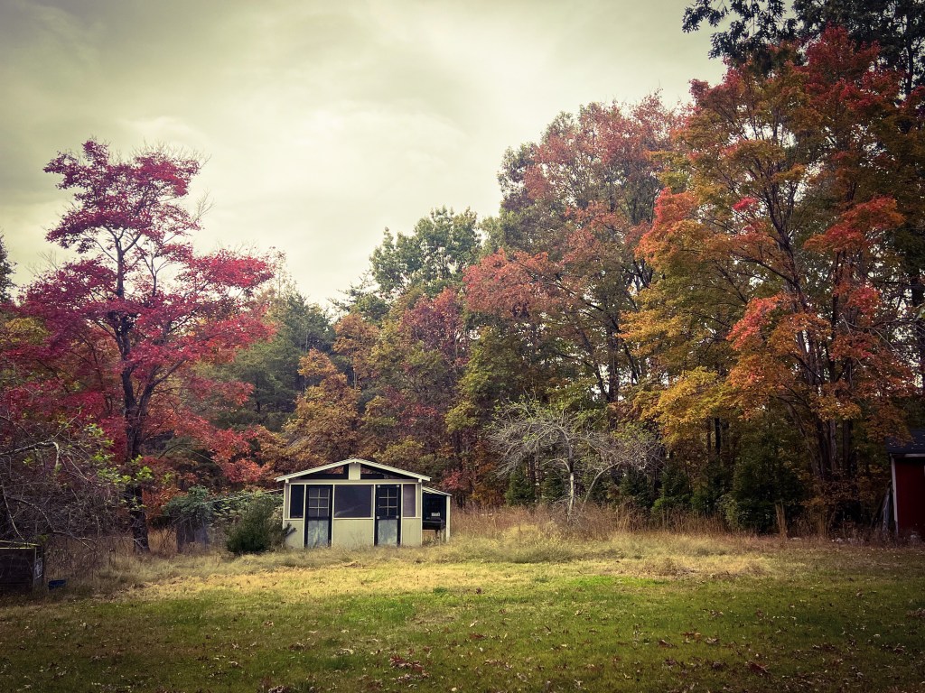 A Little Bit of&nbsp;Louisa