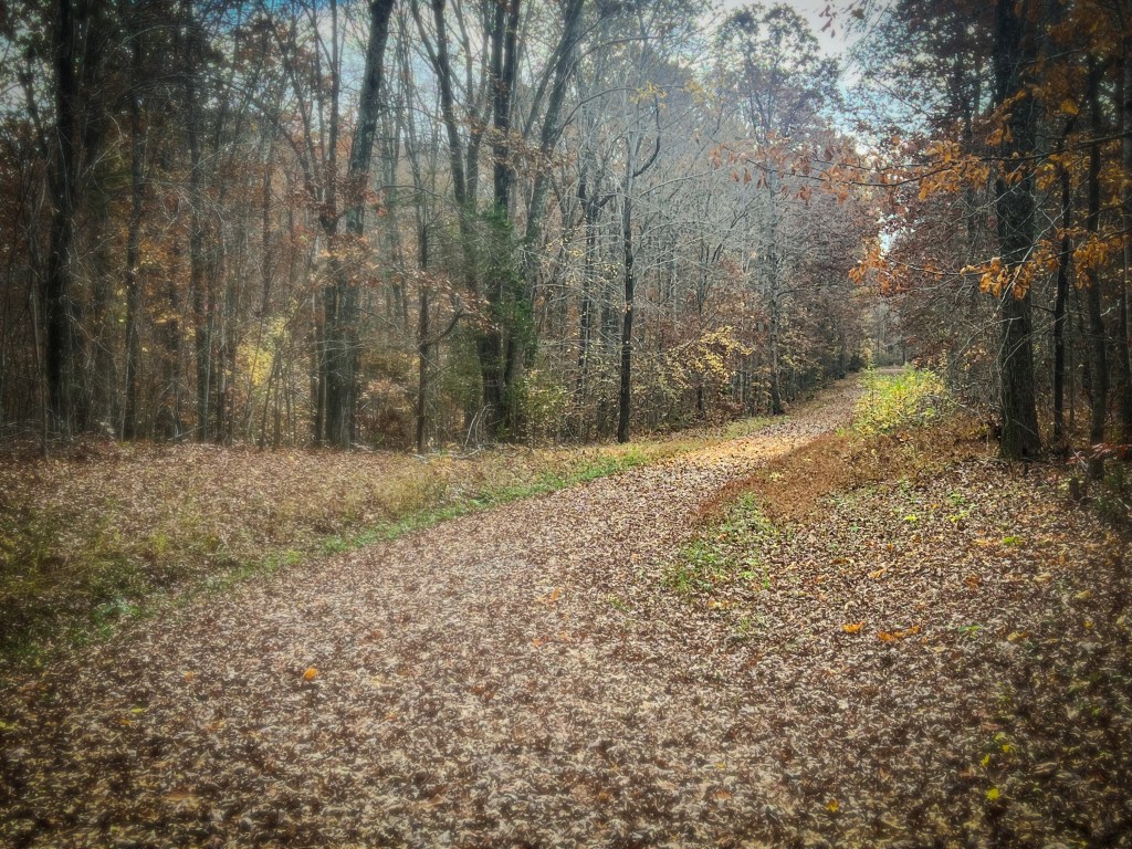 Post Blues Thanksgiving.