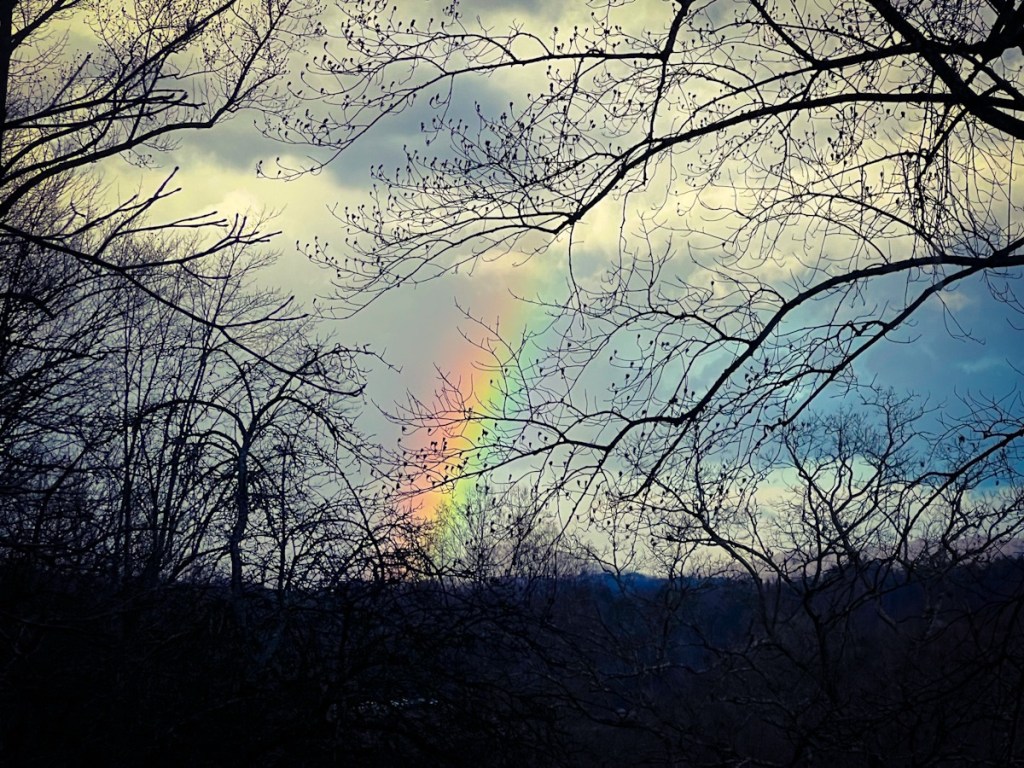 ☃️ January 2025&nbsp;🛷